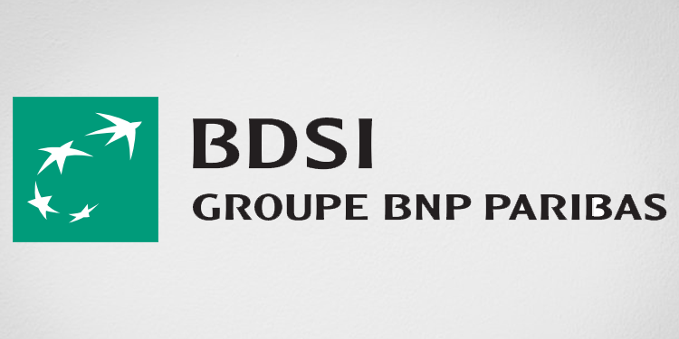  BDSI Groupe